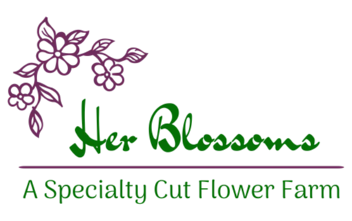 her blossoms flower farm logo